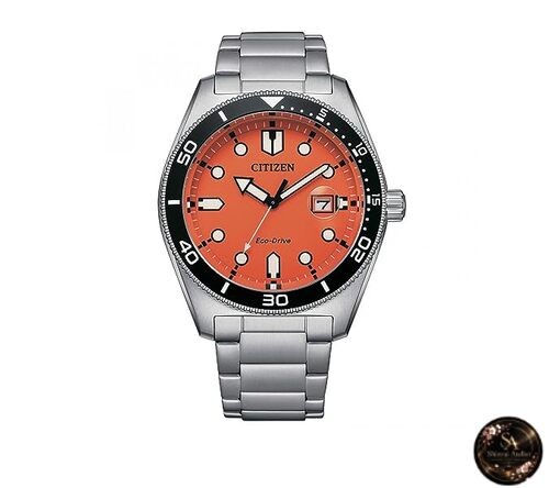 Citizen Leroy Eco-Drive AW1760-81X Acero Hombre Multicolor AW1760-81X.
