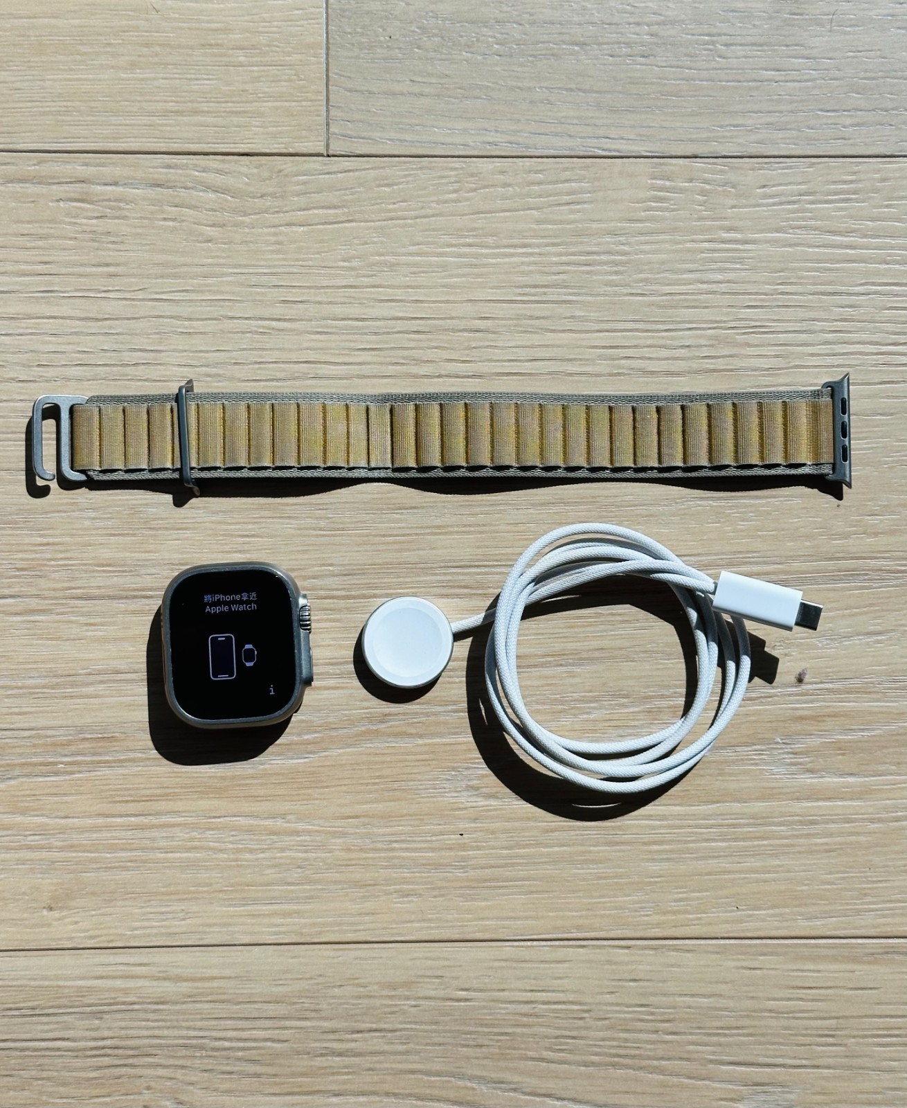 Apple Watch Ultra 2 49mm Titanium 64GB Alpine Loop