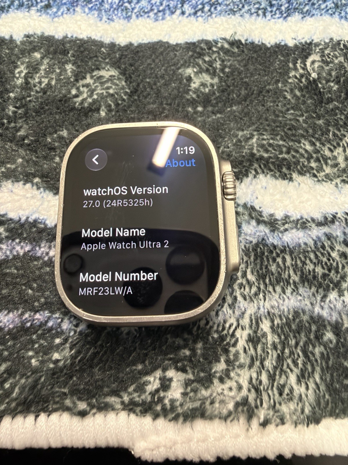 Apple Watch Ultra 2 49mm Unlocked Silver Titanium