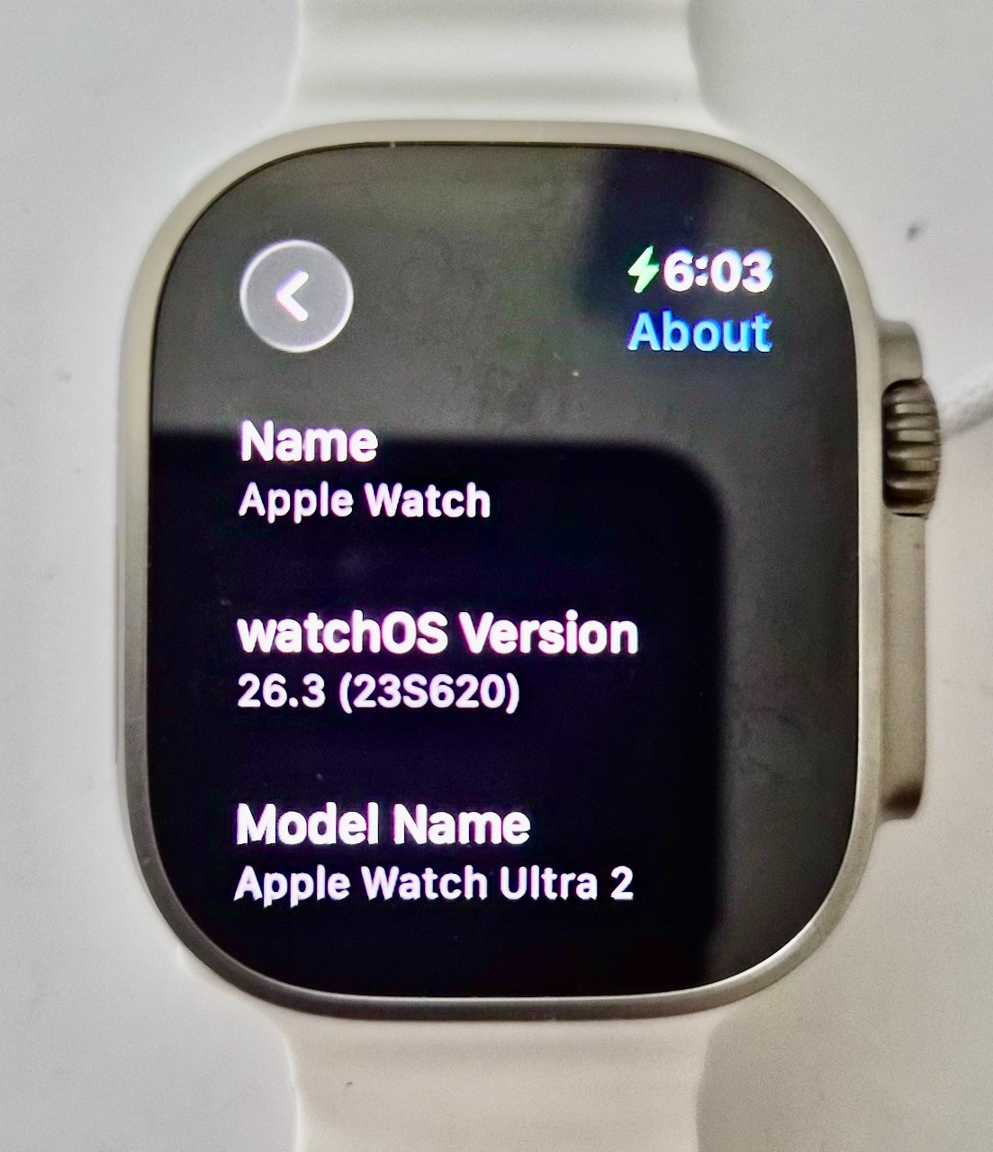 Apple Watch Ultra 2 (GPS + LTE) 49MM Titanium Case White Ocean Band – #4