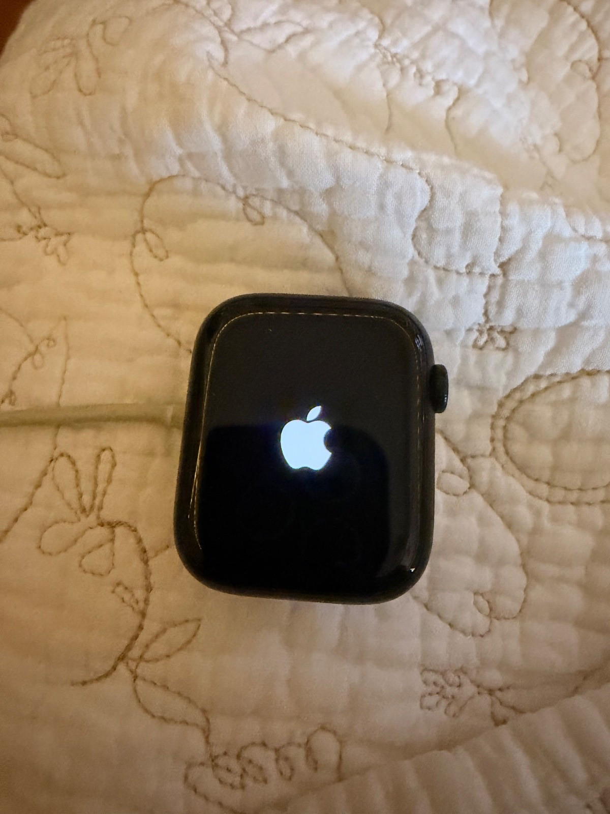 Apple Watch Series 8 45mm Midnight Aluminum Case with Sport Band, M/L (GPS)…
