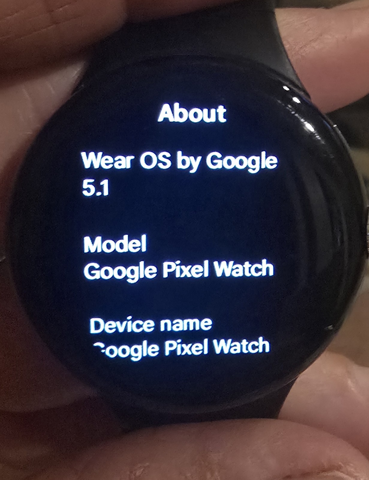 Google Pixel Watch 41mm Black Silicone Band 32GB Unlocked & Charging cord
