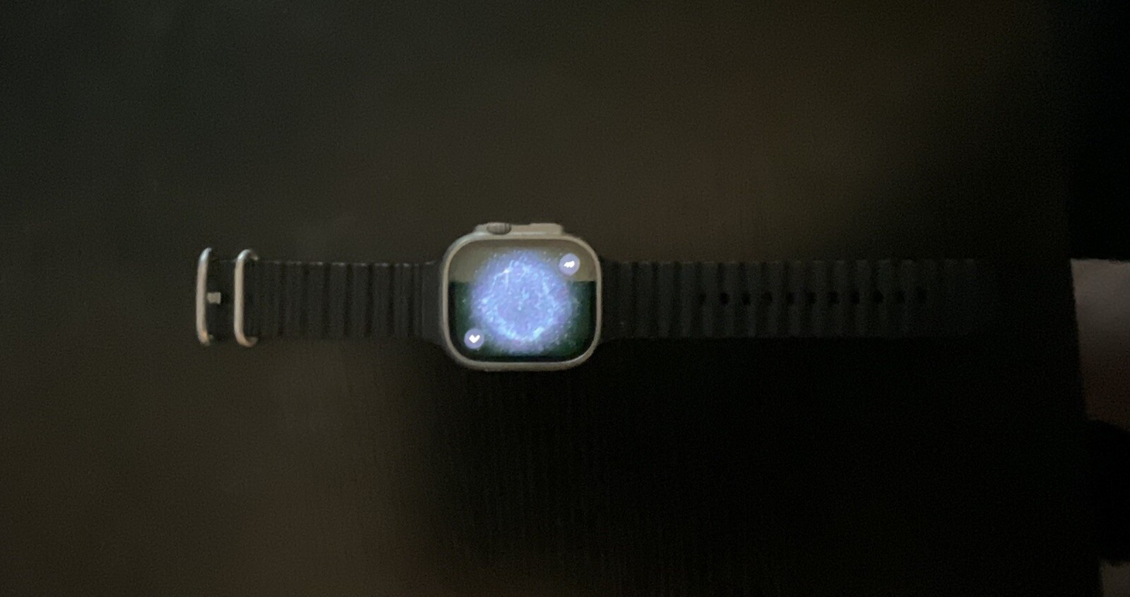 Apple Watch Ultra 2 49mm Titanium Case with Ocean Band – Blue, One Size (GPS…