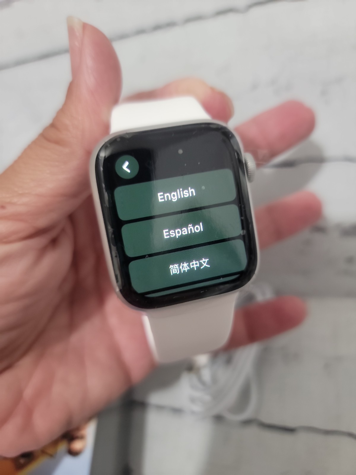 Apple Watch Series GPS + WIFI + LTE Stainless Steel – White