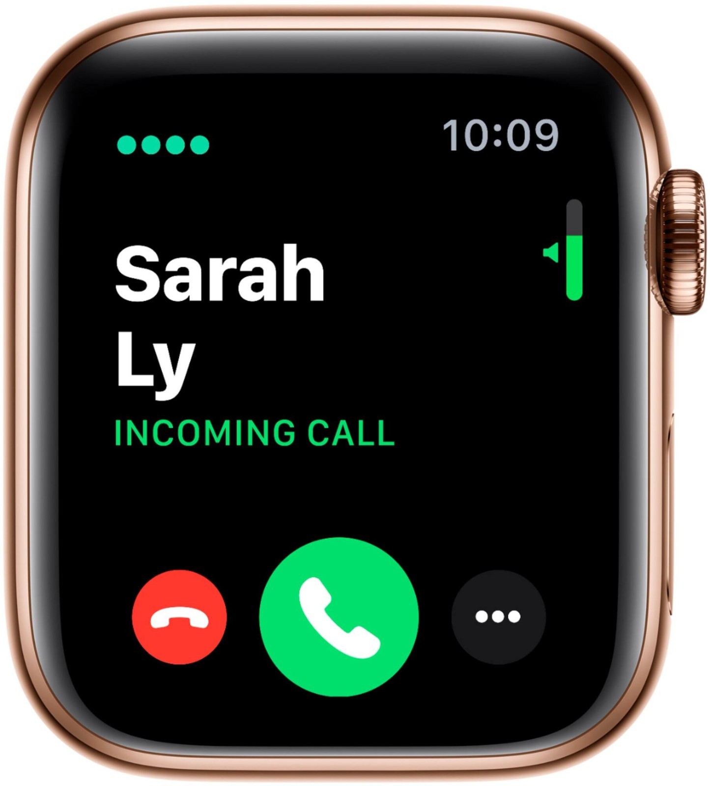 Apple Watch Series 5 2019 40mm 32GB Storage Gold Milanese Band Read G2U