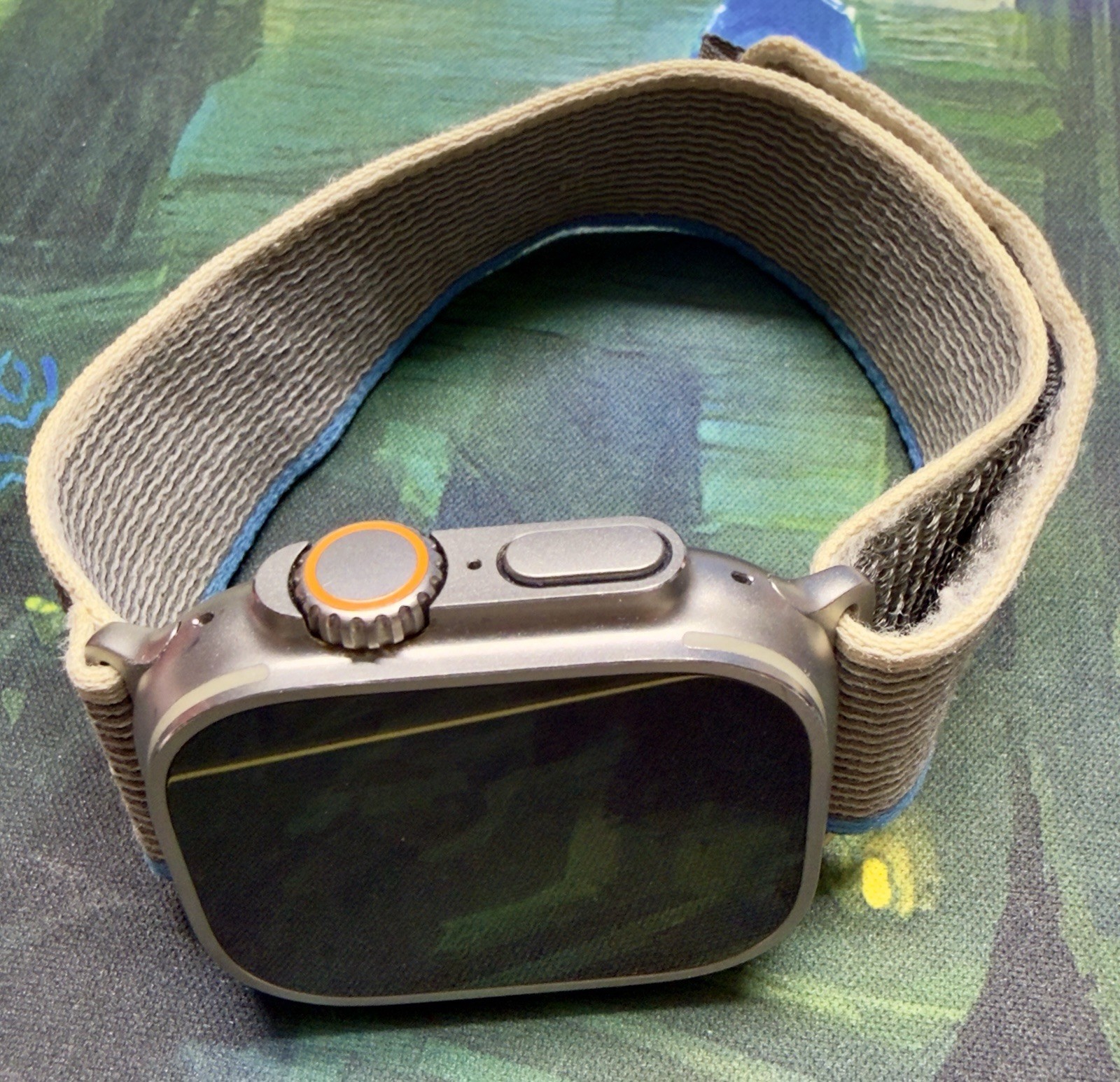 Apple Watch Ultra 49mm Titanium Case with Blue/Gray Trail Loop, M/L (GPS +…