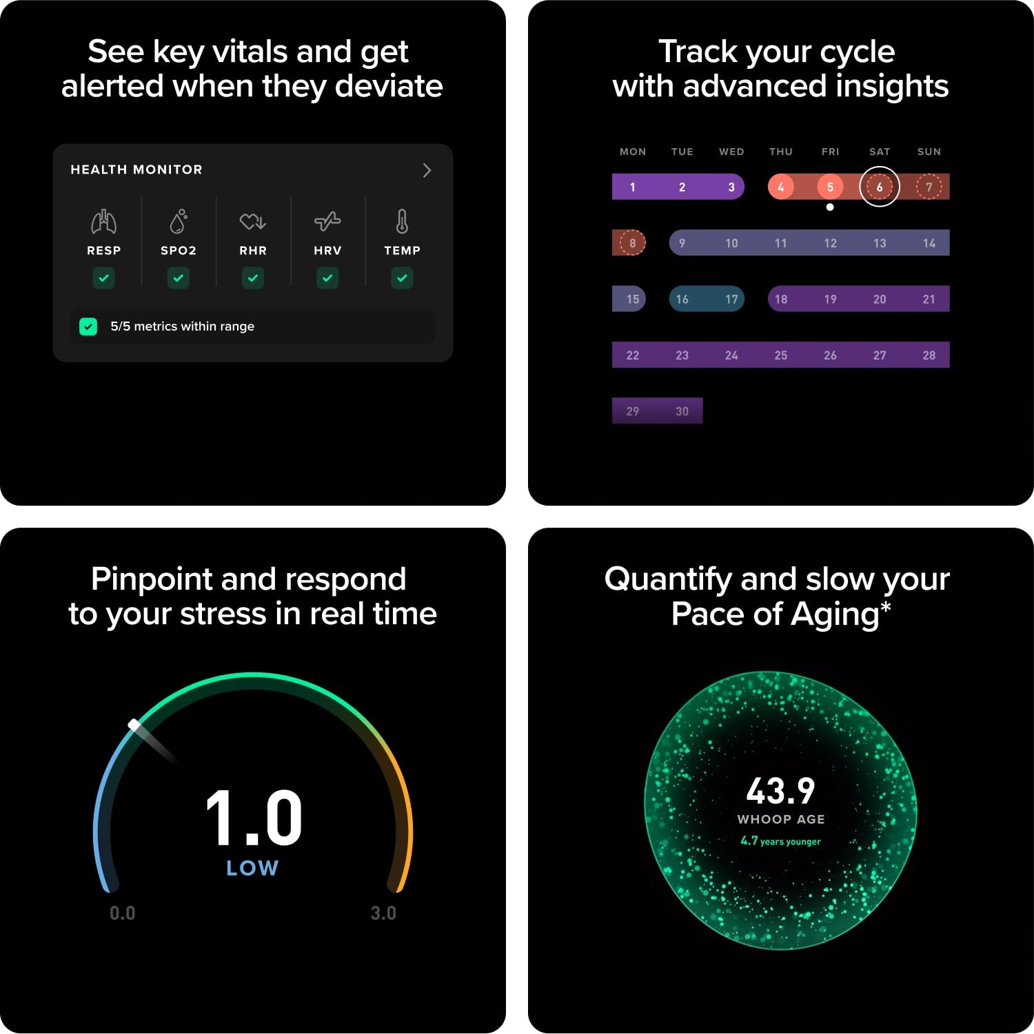 12-Month Health and Fitness Membership – 24/7 Activity, Sleep, Heart Rate