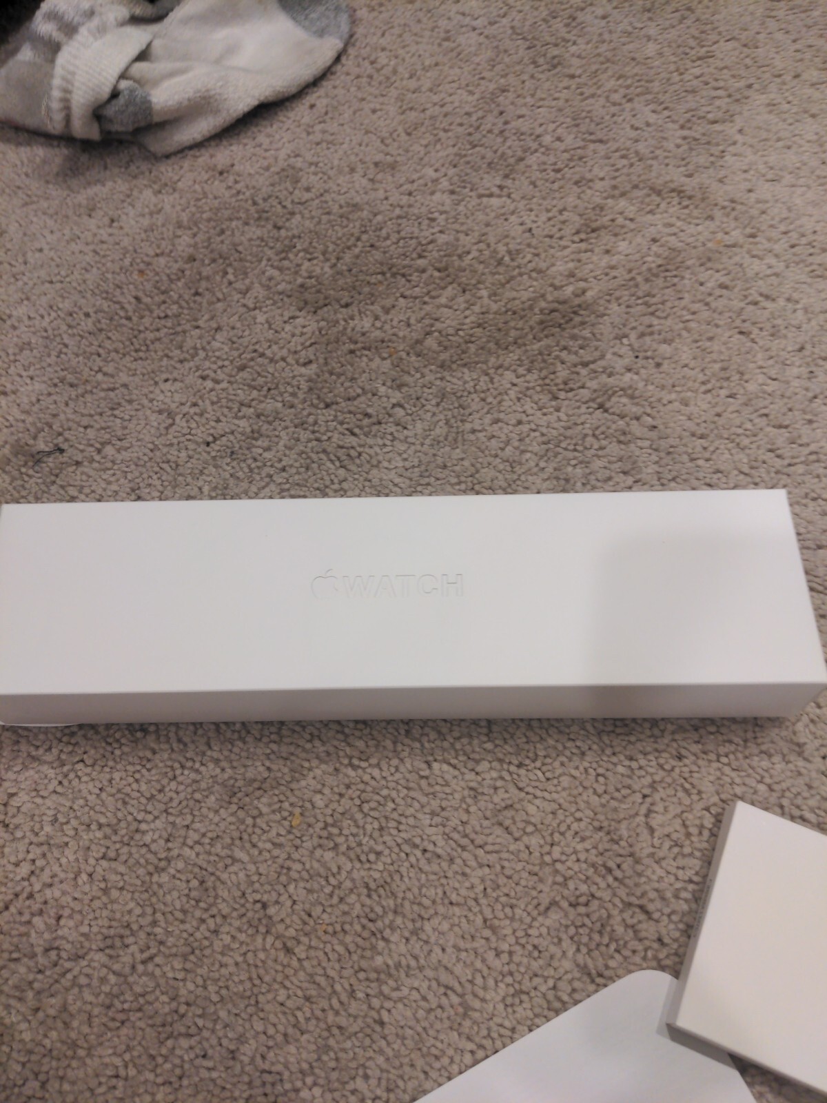 Apple Watch Series 8 45mm Midnight Aluminum Case with Sport Band, M/L