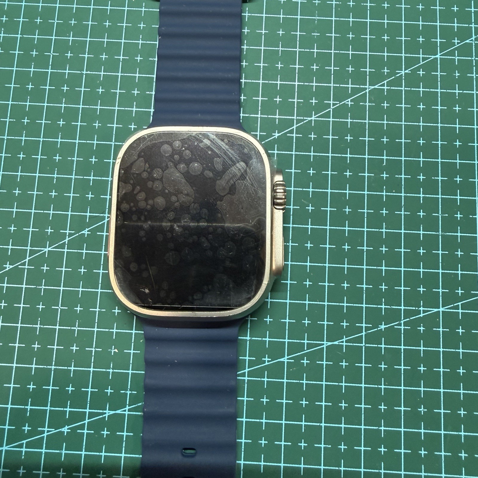 Apple Watch Ultra 2 49mm GPS + Cell Titanium Case w Bllue Strap