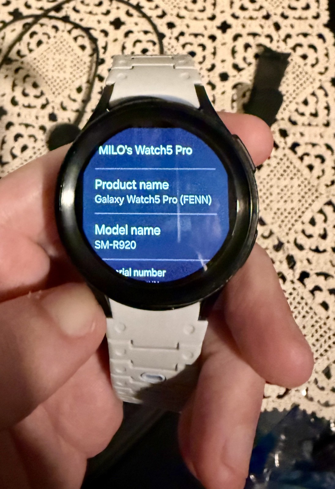 Samsung Galaxy Watch5 Pro SM-R920 45mm Titanium