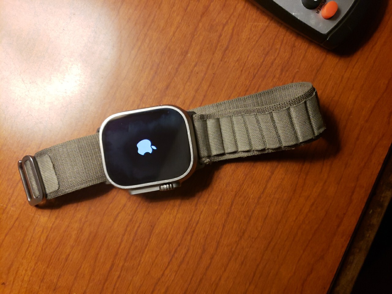 Apple Watch Ultra 2 49mm Titanium Case with Alpine Loop – Indigo, Large (GPS…