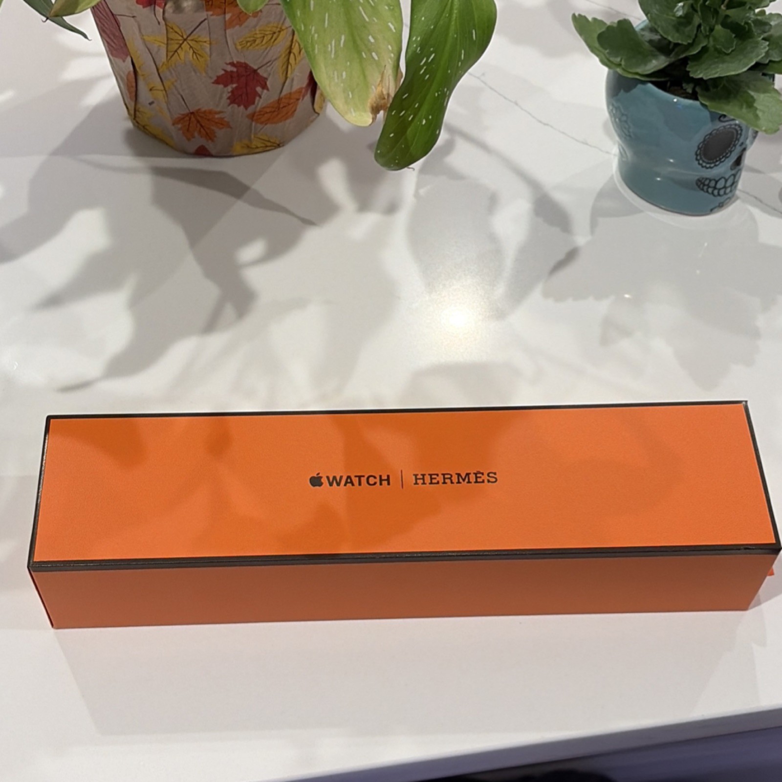 Apple Watch Hermes Series 11 46mm Silver Titanium Case & Band – w/ Hermes H Band