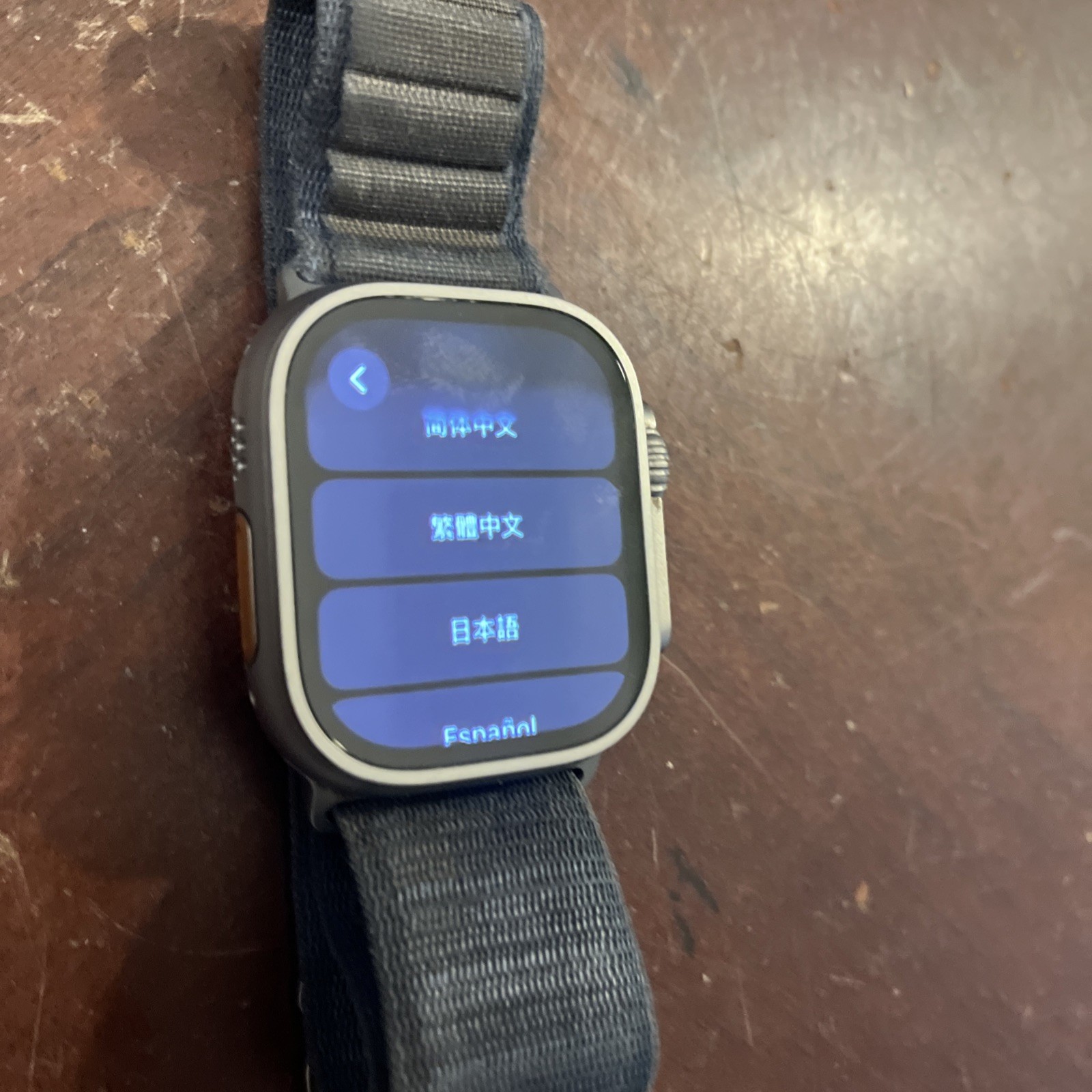 Apple Watch Ultra 2 49mm A2986 Good Condition | Natural Titanium | GPS + LTE L23